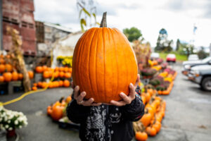 Pumpkins at country farmers market equals Fall fun in Hagerstown, MD.