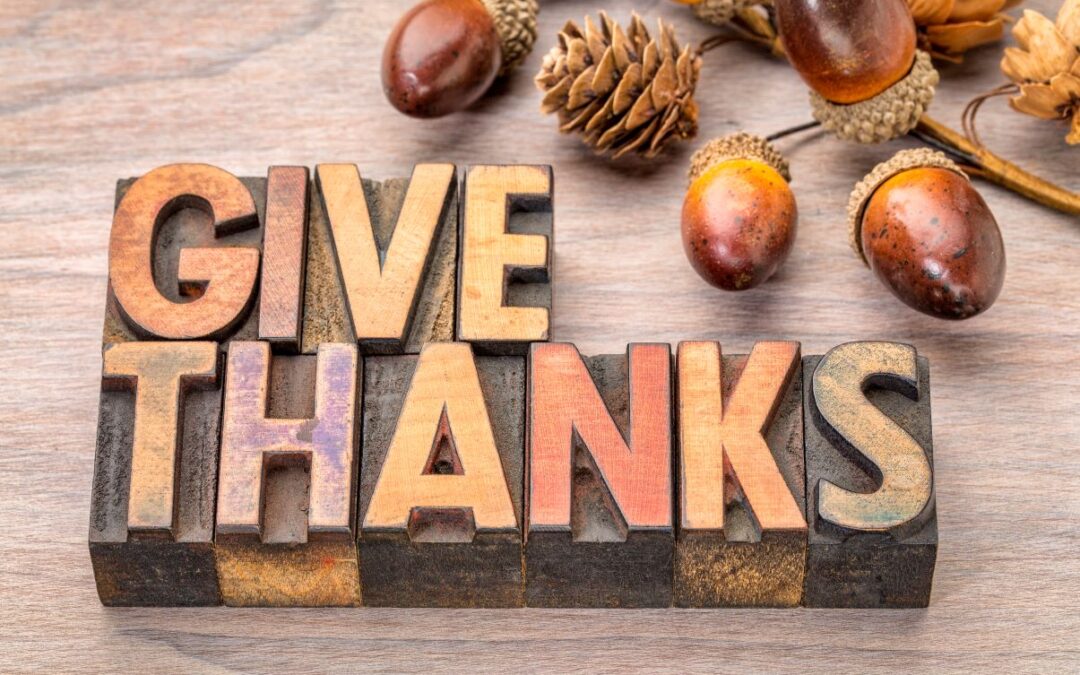Happy Thanksgiving from BlueBox Rental dumpster company in Hagerstown, MD