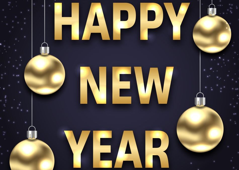 Happy New Year from BlueBox Rental dumpster rental service in Hagerstown, MD