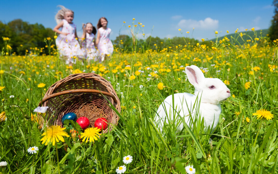 Happy Easter from BlueBox Rental dumpster rental company in Hagerstown, MD